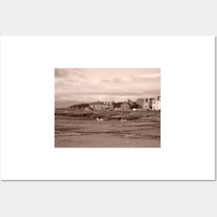 Shoreline with Horses, Millport in Scotland. West coast, off Isle of Cumbrae Posters and Art